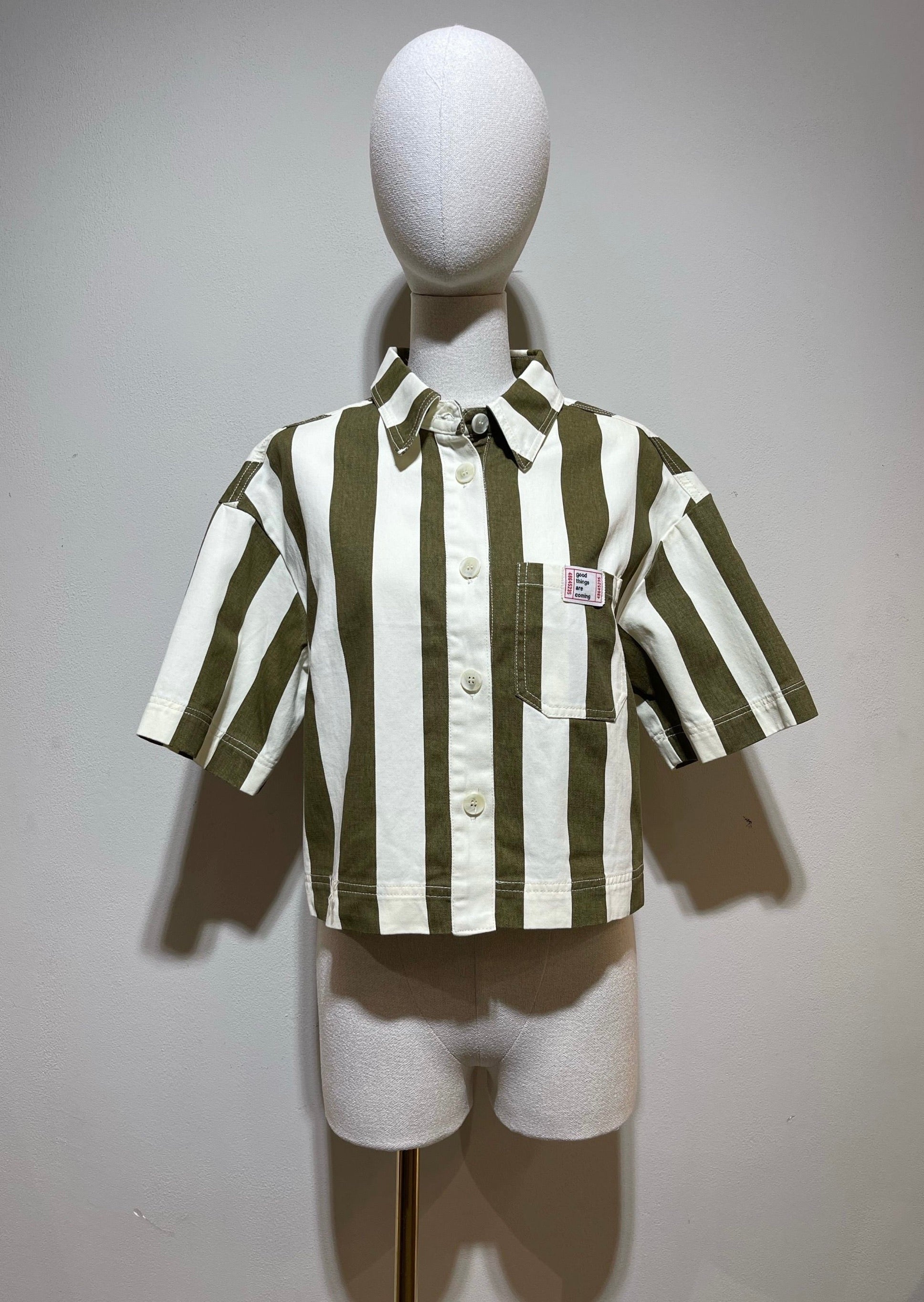 Shirt Kiki striped - green